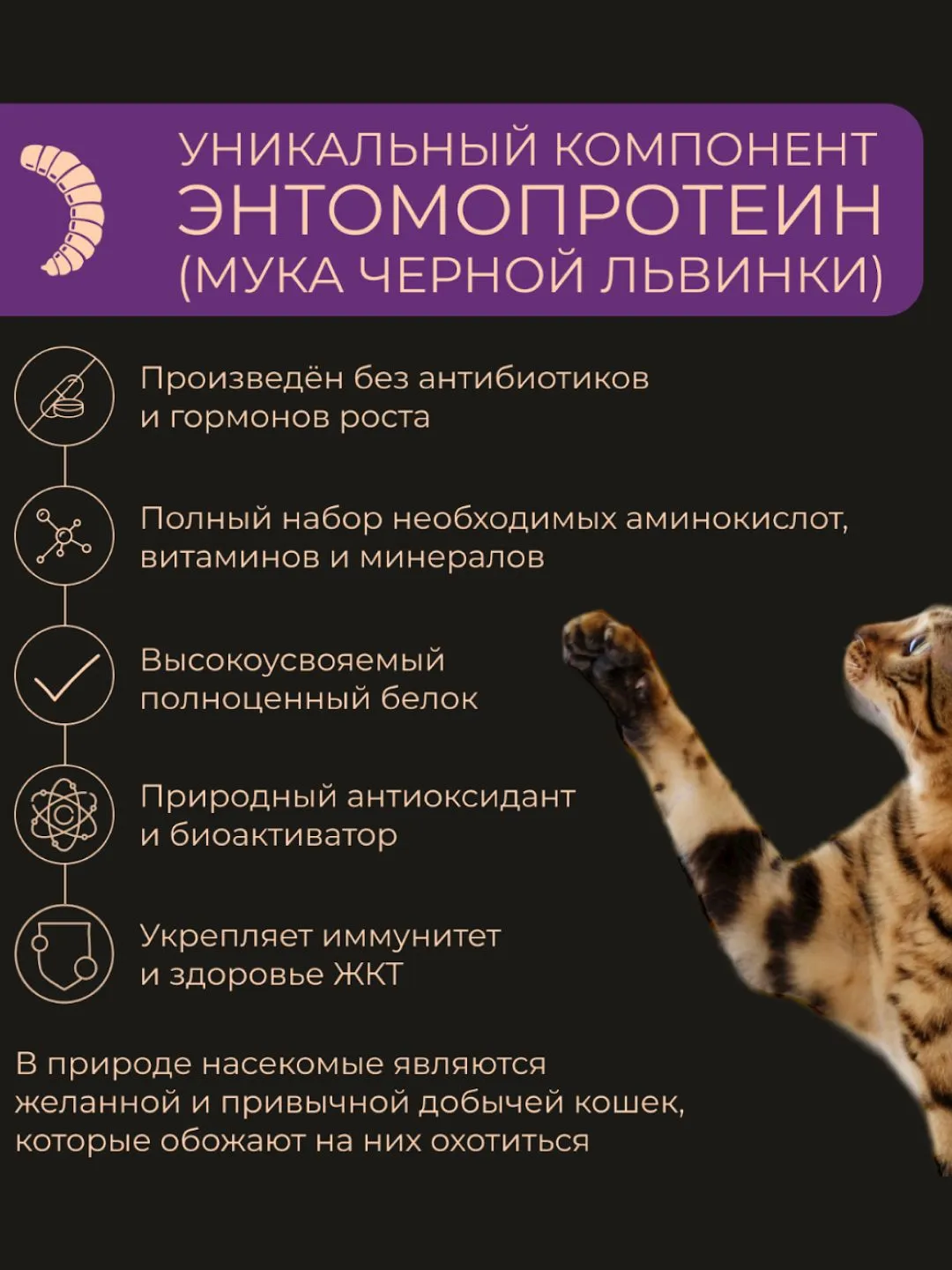 Фото товара